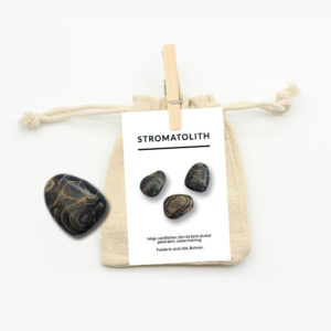 Trommelstein mit Stromatolith Beschreibungskarte