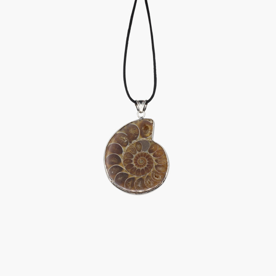 Ammonit Anhänger mit Lederband