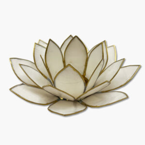 Lotusblume Teelichthalter weiß in Geschenkbox