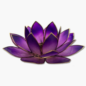 Lotusblume Teelichthalter lila schattiert in Geschenkbox