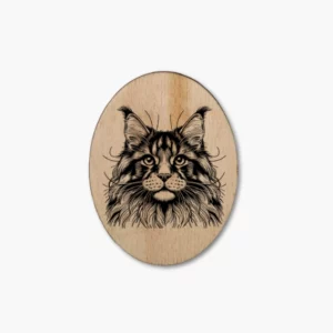 Main Coon Katzenmagnet
