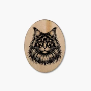 Maine Coon Longhair 2 Katzenmagnet