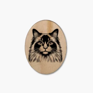 Mekong Bobtail Longhair 2 Katzenmagnet