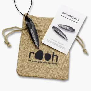 Orthoceras Rooh Anhänger mit Lederband